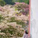 华师[地铁站] - 广州市旅游 缩略图 6