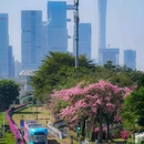 广州塔 - 广州市旅游 缩略图 4