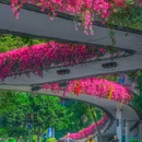 广州塔 - 广州市旅游 缩略图 5