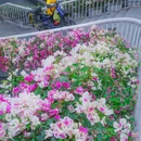 广州塔 - 广州市旅游 缩略图 6