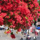 广州塔 - 广州市旅游 缩略图 9