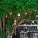 广州鳄鱼公园 - 广州市旅游 缩略图 8