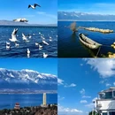 大理洱海晶柏丽酒店 - 大理白族自治州旅游 缩略图 7