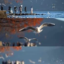 大理洱海晶柏丽酒店 - 大理白族自治州旅游 缩略图 6