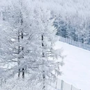 云顶滑雪场一号索道-上站 - 张家口市旅游 缩略图 2
