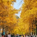 电子科技大学(沙河校区) - 成都市旅游 缩略图 2
