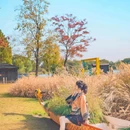 沙溪古镇 - 苏州市旅游 缩略图 7