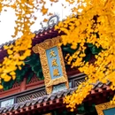 清吟街 - 杭州市旅游 缩略图 4