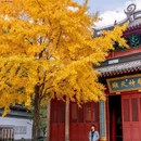 清吟街 - 杭州市旅游 缩略图 5