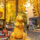 清吟街 - 杭州市旅游 缩略图 1