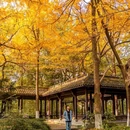 清吟街 - 杭州市旅游 缩略图 3