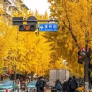 清吟街 - 杭州市旅游 缩略图 6