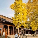清吟街 - 杭州市旅游 缩略图 9