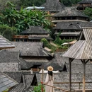 景迈山茶林文化景区 - 普洱市旅游 缩略图 8