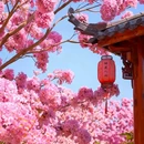 绿美生态园 - 江门市旅游 缩略图 6