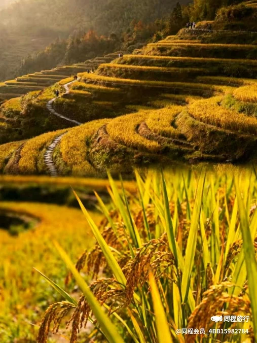云和梯田景区 - 丽水市旅游
