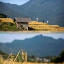云和梯田景区 - 丽水市旅游 缩略图 7