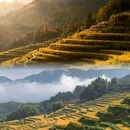 云和梯田景区 - 丽水市旅游 缩略图 4