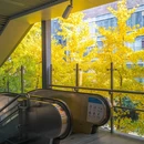 中国科学院武汉植物园 - 武汉市旅游 缩略图 7