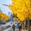 中国科学院武汉植物园 - 武汉市旅游 缩略图 8