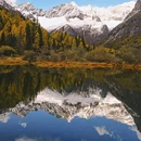 四姑娘山景区 - 阿坝藏族羌族自治州旅游 缩略图 6
