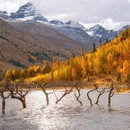 四姑娘山景区 - 阿坝藏族羌族自治州旅游 缩略图 9