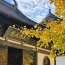 上海真如寺 - 上海市旅游 缩略图 1