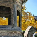 上海真如寺 - 上海市旅游 缩略图 7