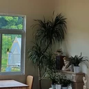 月光花园农场 - 无锡市旅游 缩略图 8