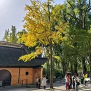 虎丘山风景名胜区 - 苏州市旅游 缩略图 2