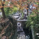 虎丘山风景名胜区 - 苏州市旅游 缩略图 8