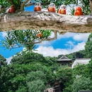 大阪 - 日本旅游 缩略图 2