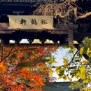 沈园景区 - 绍兴市旅游 缩略图 5