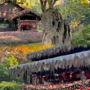 沈园景区 - 绍兴市旅游 缩略图 7