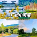 知识城东湖 - 广州市旅游 缩略图 1