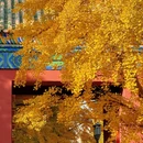 地坛公园 - 北京市旅游 缩略图 2