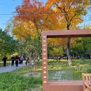 地坛公园 - 北京市旅游 缩略图 9