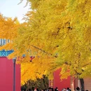 地坛公园 - 北京市旅游 缩略图 7