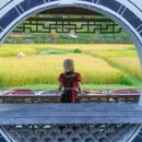 黄山风景区 - 黄山市旅游 缩略图 7