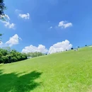 鹭月酒店(华强北店) - 深圳市旅游 缩略图 7