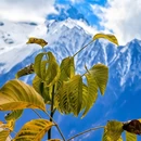 色季拉山观景台 - 林芝市旅游 缩略图 3