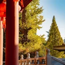 四季逸境酒店(金华高铁站银泰城店) - 金华市旅游 缩略图 2