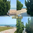 鲁迅公园 - 青岛市旅游 缩略图 1