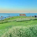 鲁迅公园 - 青岛市旅游 缩略图 9