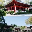 光孝寺 - 广州市旅游 缩略图 4