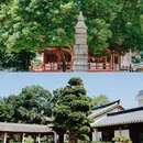 光孝寺 - 广州市旅游 缩略图 7