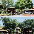 光孝寺 - 广州市旅游 缩略图 8