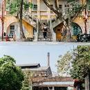 紫泥堂 - 广州市旅游 缩略图 2