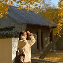 浮山森林公园 - 青岛市旅游 缩略图 4