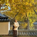 浮山森林公园 - 青岛市旅游 缩略图 3
